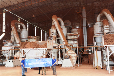 #别墅 #买房看房 #大花园 #独门独院 #一楼带院房子怎么样 ...