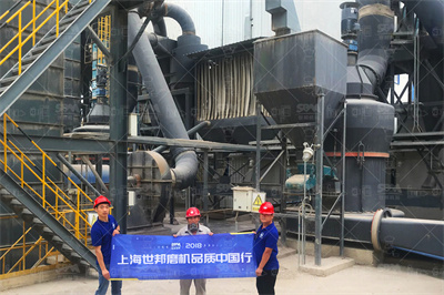 品牌代言人和品牌全线代言人哪个title高 —— 晋江文学城网友 ...